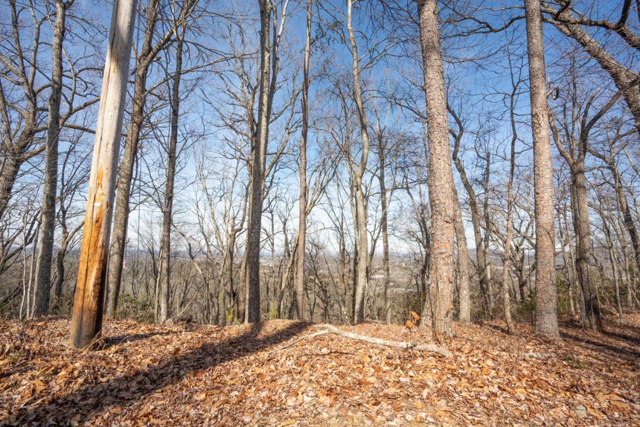 Comfort Cabin Bearway To Heaven W Private Hot Tub Pigeon Forge Exteriör bild
